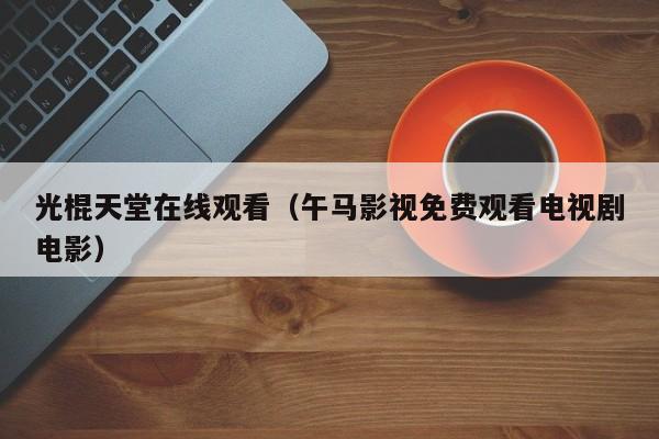 光棍天堂在线观看(午马影视免费观看电视剧电影)