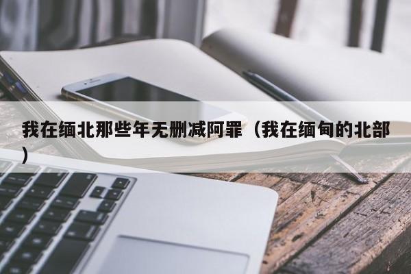 我在缅北那些年无删减阿罪(我在缅甸的北部)