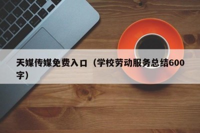 天媒传媒免费入口（学校劳动服务总结600字）