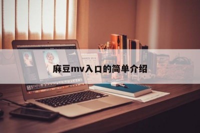 麻豆mv入口的简单介绍